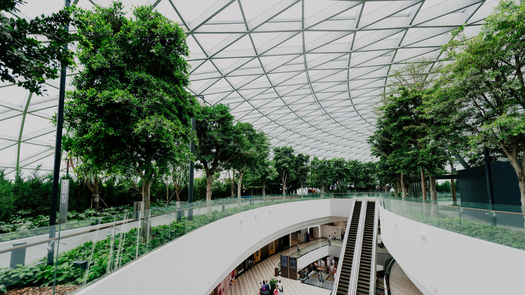 Тренд «Рабочие курорты»